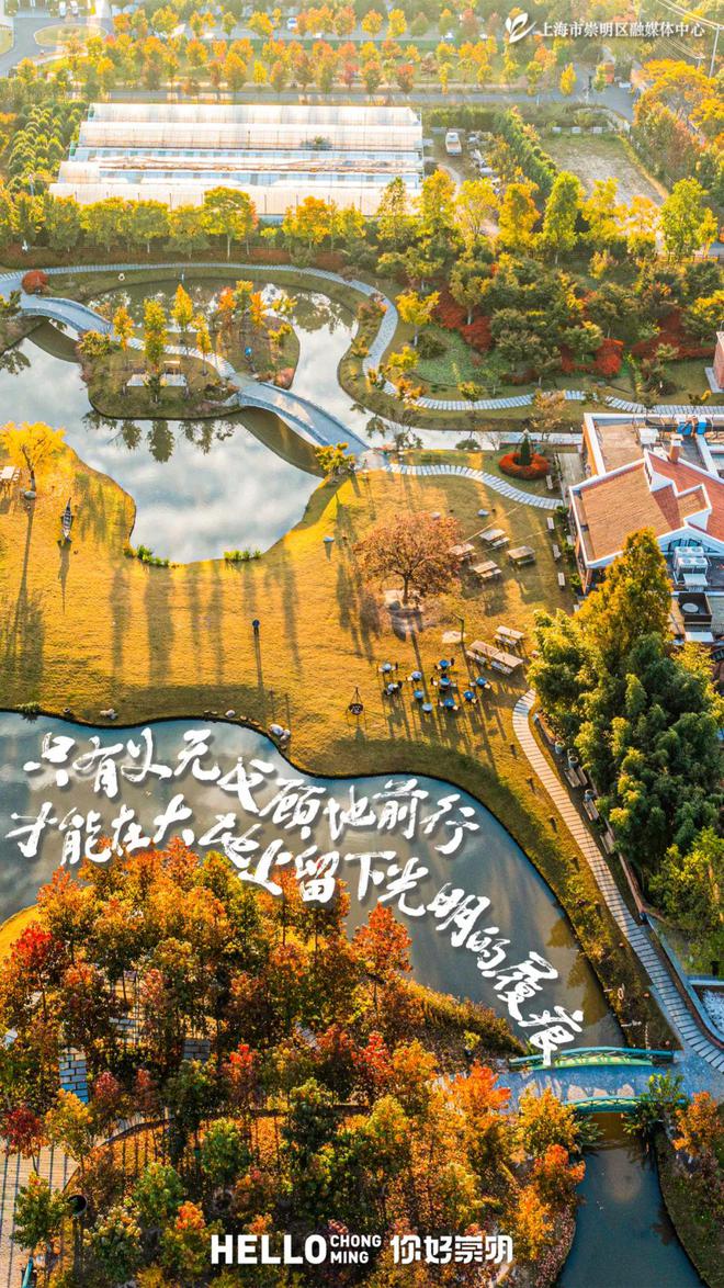 彩神vll天气转冷崇明取暖设备热销(图5)