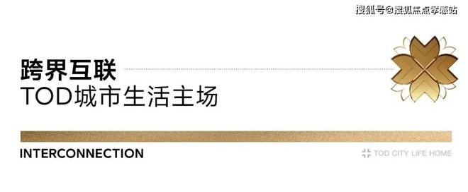 彩神vll2025（时代乐章官方网站）招商时代乐章楼盘详情户型价格地址(图22)