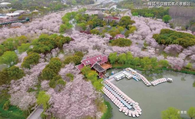 彩神vll2025（时代乐章官方网站）招商时代乐章楼盘详情户型价格地址(图21)
