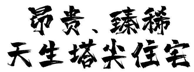 松江恒都云璟洋房带装修有地暖+中央空调+新风系统彩神vll(图6)