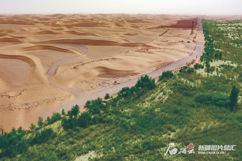 彩神vll2025新疆两会·深度 新疆纵深推进三大重要领域生态治理(图1)