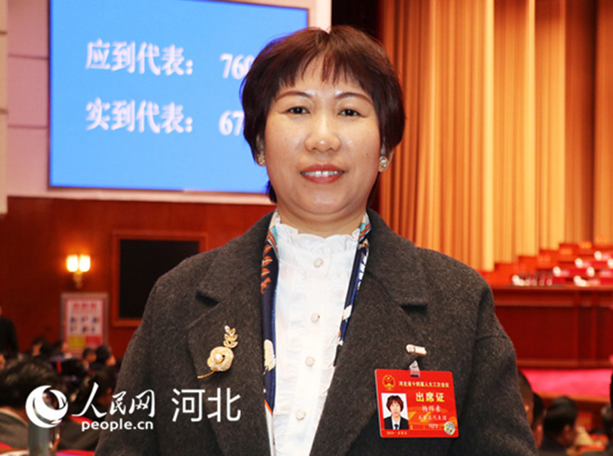 彩神vll杨辉素代表：集中供热 解决农村群众冬日取暖问题(图1)