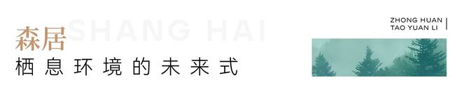 彩神vll®中环桃源里 中环桃源里官方售楼处发布： 豪宅新标杆来了(图7)
