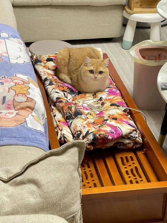 别再用“电油汀”取暖了学彩神vll学江西人的做法省电又舒适太爽了(图15)