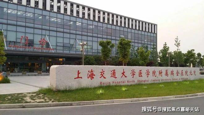 彩神vll®象屿路劲都汇云境 嘉定都汇云境官方售楼处发布：高定豪宅来了(图16)