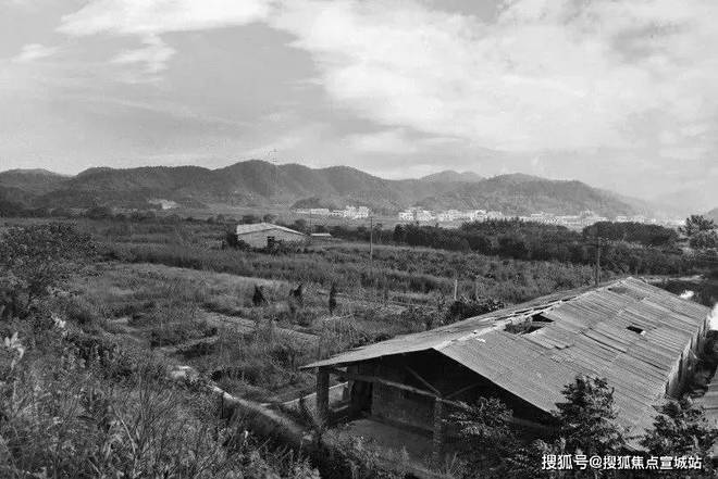 上海之窗时彩神vll光里售楼电话〢楼盘地址电话〢上海之窗时光里欢迎您！(图8)