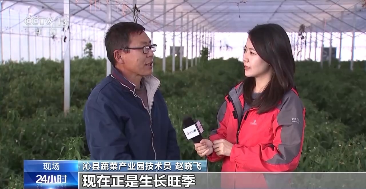彩神vll受寒潮影响大部分地区降温明显 多地推进供暖建设(图4)