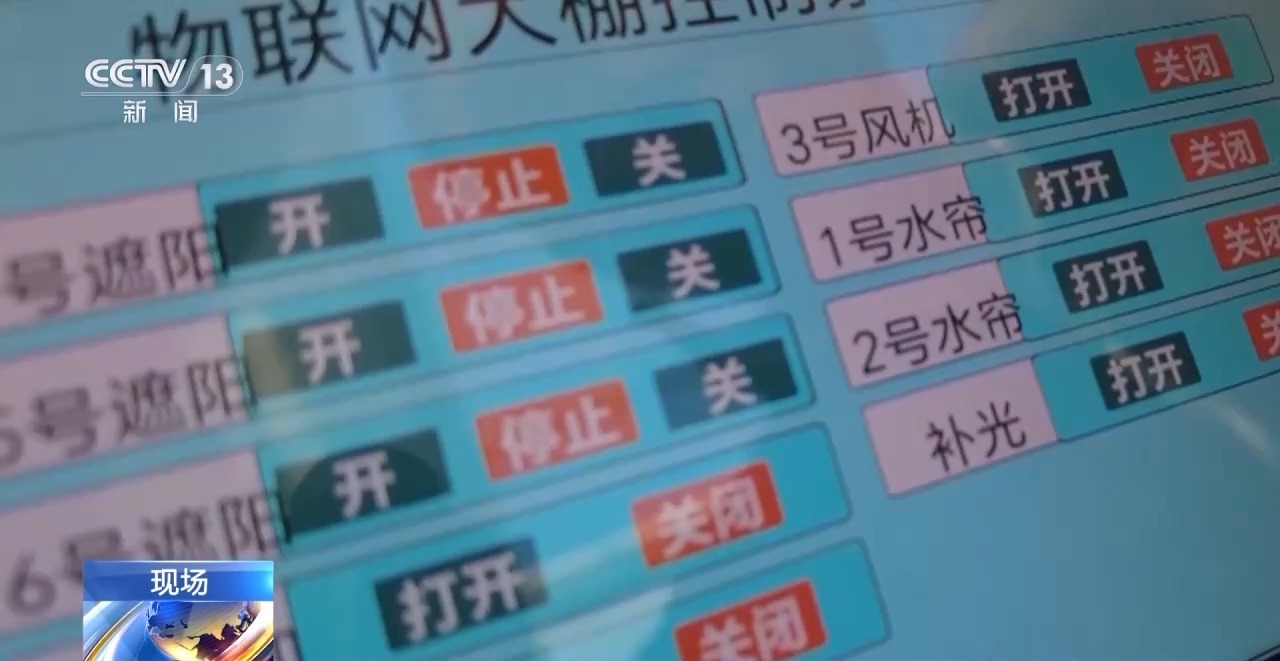 彩神vll受寒潮影响大部分地区降温明显 多地推进供暖建设(图5)