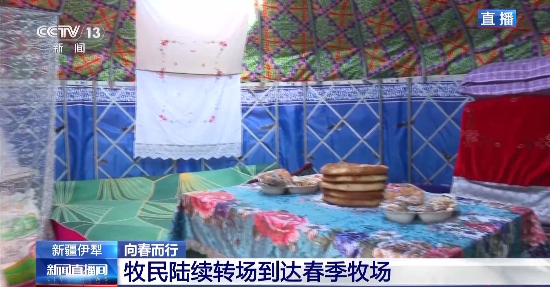 彩神vll羊咩咩穿上了高科技“新衣”！来看新疆伊犁河谷牲畜春季转场(图2)