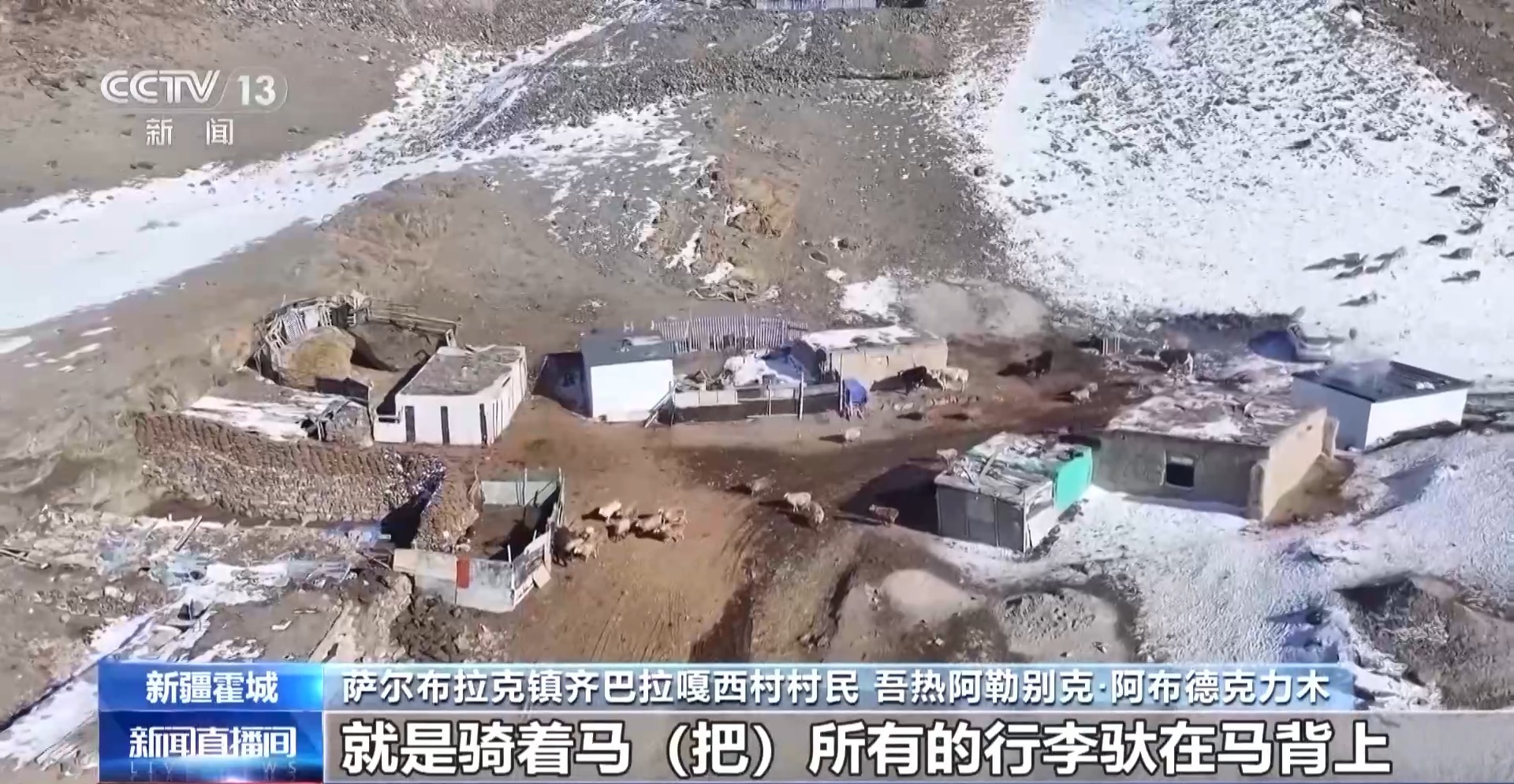 彩神vll羊咩咩穿上了高科技“新衣”！来看新疆伊犁河谷牲畜春季转场(图9)