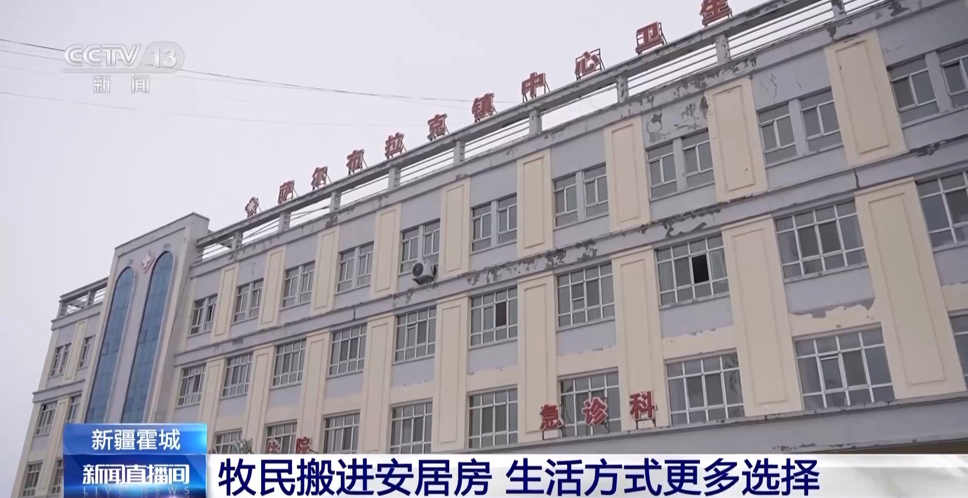 彩神vll羊咩咩穿上了高科技“新衣”！来看新疆伊犁河谷牲畜春季转场(图16)