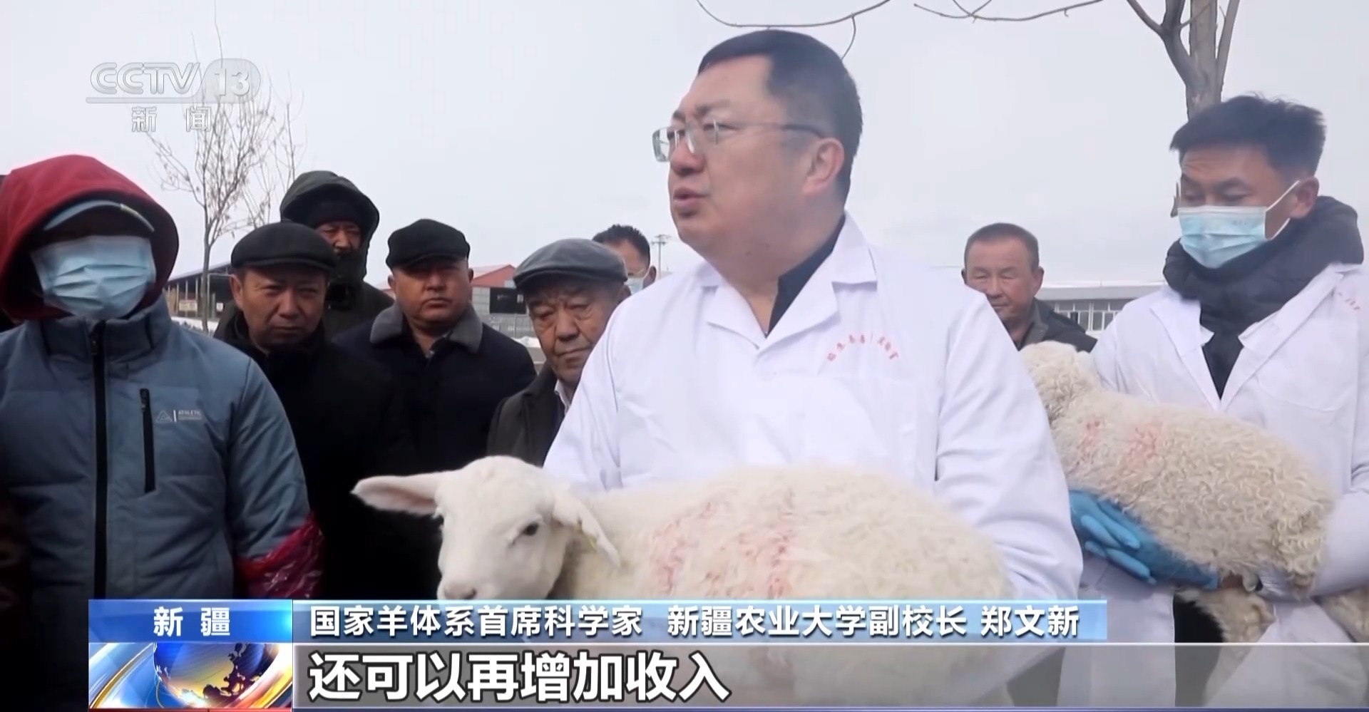 彩神vll羊咩咩穿上了高科技“新衣”！来看新疆伊犁河谷牲畜春季转场(图21)