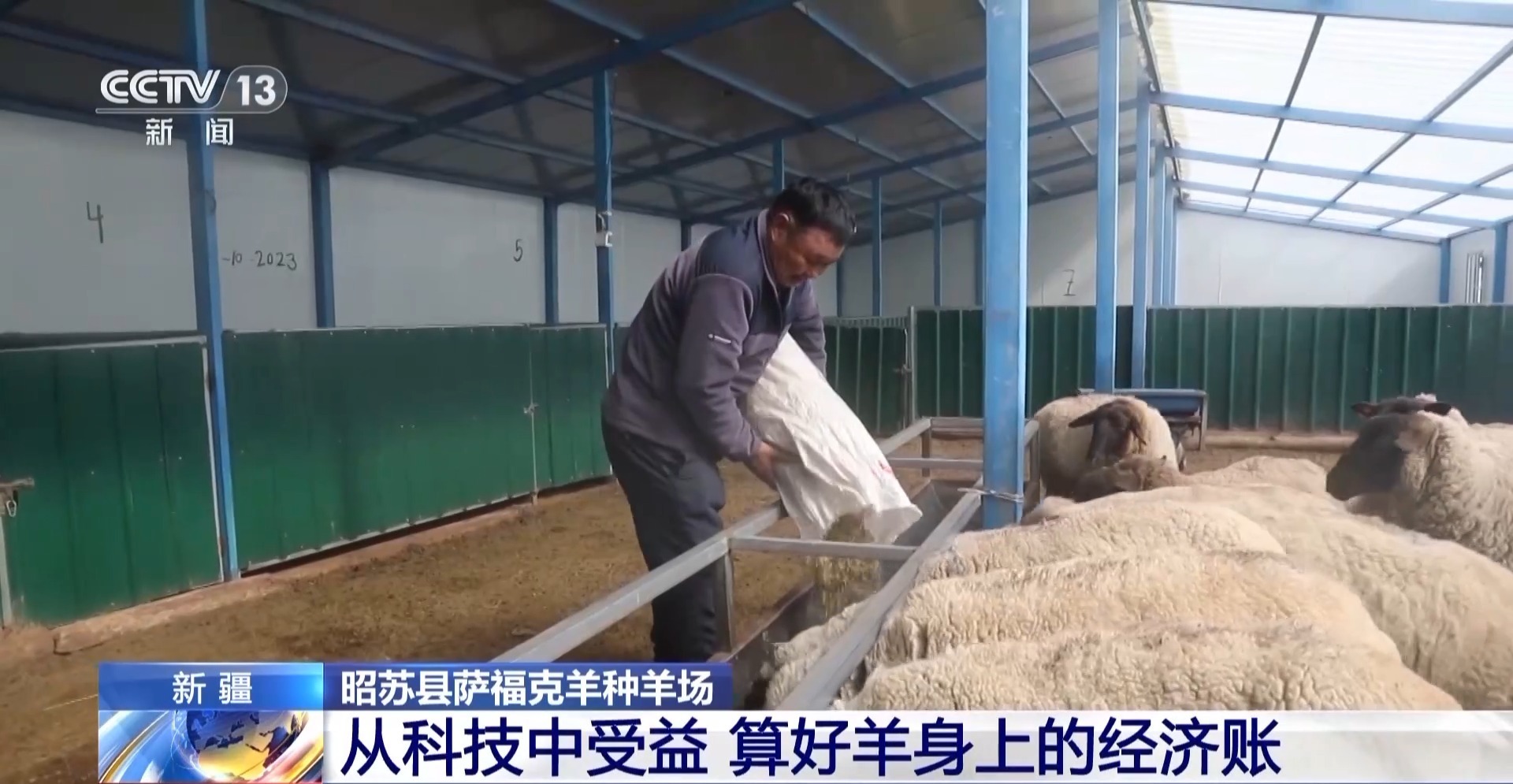 彩神vll羊咩咩穿上了高科技“新衣”！来看新疆伊犁河谷牲畜春季转场(图23)
