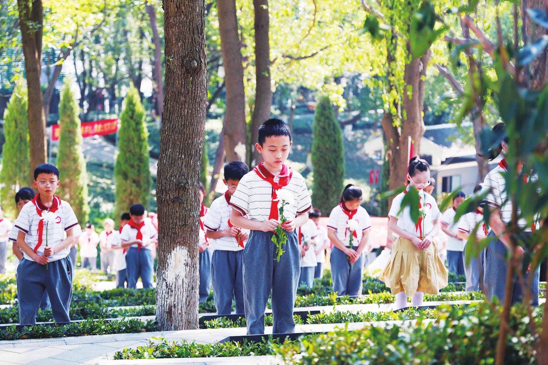 彩神vll文明新风润清明(图2)