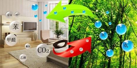 四川彩神vll南充AI养猪年产能近400万头(图1)