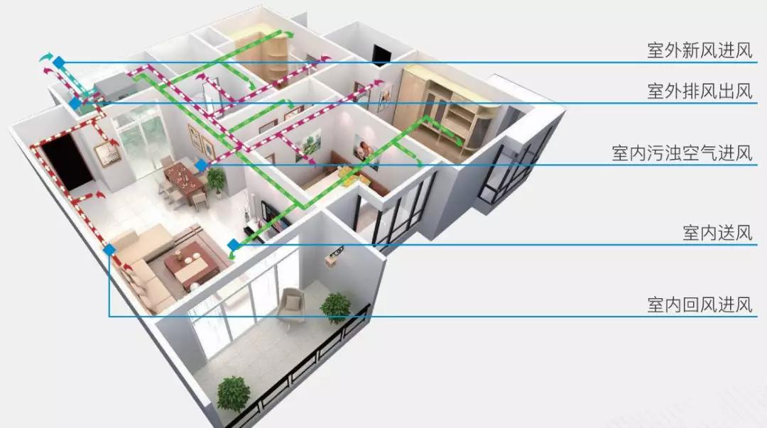 “惠、新、智”三管齐下领跑精细化管理新风尚彩神vll(图1)