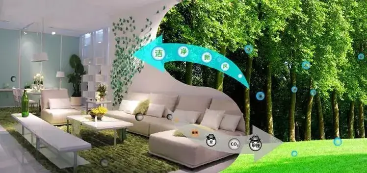 彩神vll探访北京通州国际种业科技园区农作物育种加速器(图1)