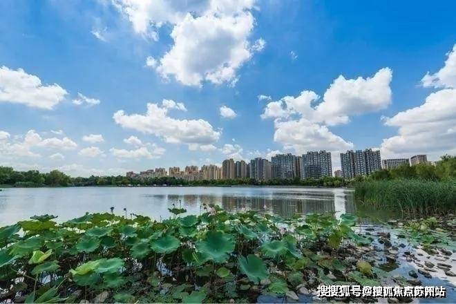 虹桥璀璨领峯(虹桥璀璨领峯2025年最新发布)虹彩神vll-物业口碑销售热线促销活动升值空间(图2)