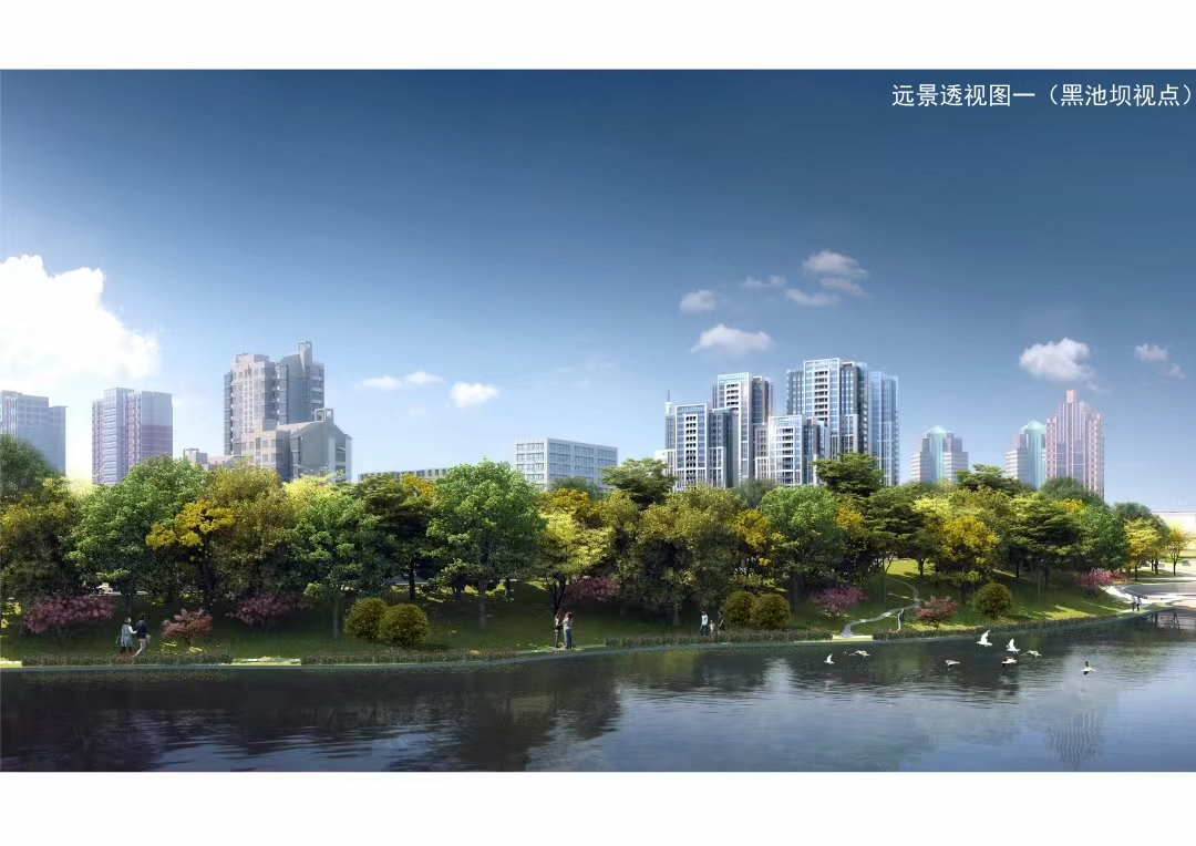 “好房子”快闪市集再启程地铁2号线大品质楼盘任您彩神vll选！(图3)