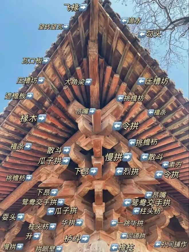 开始反击了！ 韩国挪用中国文化遗产申遗的闹剧终于可以休矣！彩神vll(图9)