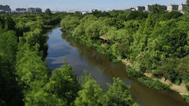 彩神vll◈越秀杨浦天玥官方售楼处杨浦越秀天玥发布：定制塔尖生活圈(图4)