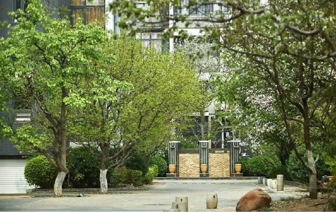 彩神vll揭秘！天津新一代市区别墅社区来了！格调果然大手笔(图2)