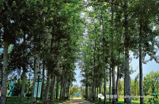 彩神vll温哥华森林售楼处-官方首页-2025温哥华森林百度百科-北京房天下(图22)